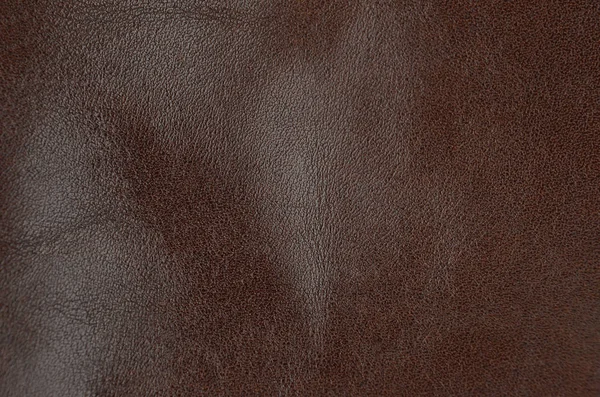 Close Natural Brown Leather Background — Stock Photo, Image