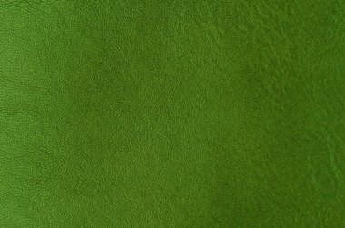 Doğal yeşil deri arka planı kapat