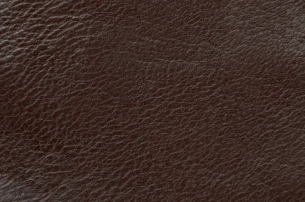 Close Natural Brown Leather Background — Stock Photo, Image