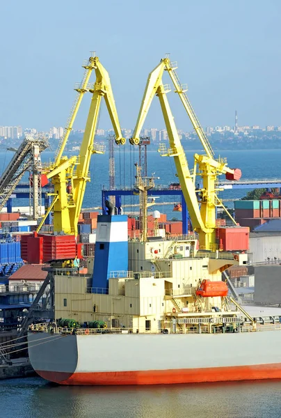 Bulk Vrachtschip Onder Poort Kraan Brug — Stockfoto