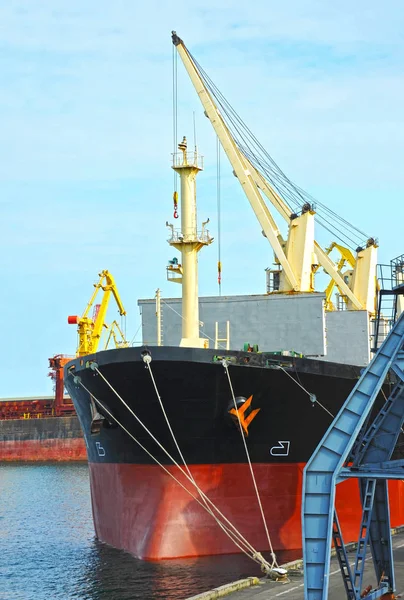Bulk Cargo Ship Port Crane Bridge — Stock Photo, Image