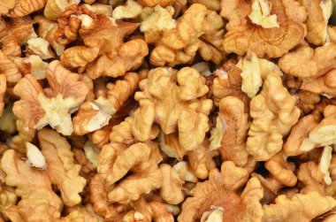 Soyulmuş ceviz (Juglans regia) çekirdek, yakın