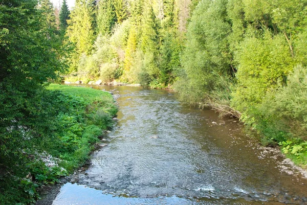 Řeka na Karpaty — Stock fotografie