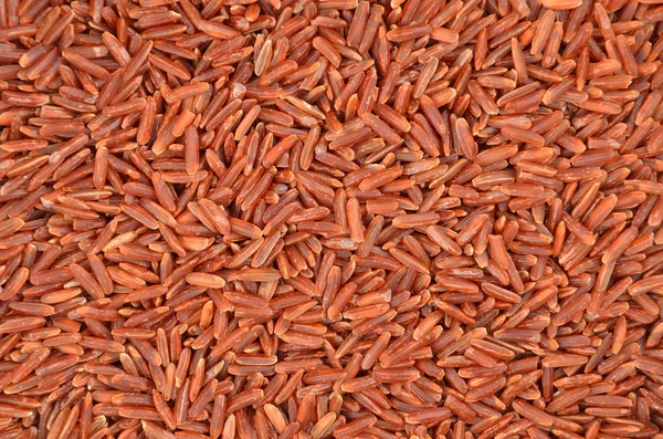 Brown rice, close-up — Stock Photo, Image
