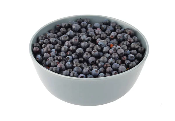 Blueberry Bowl Isolated White Background — Stock Photo, Image