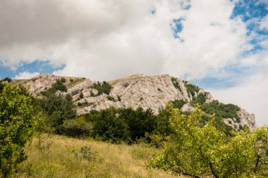 Yeşil çalılar ve bulutlu gökyüzü güzel kırsal kesimde sert kayaya yamacında büyüyen çimen