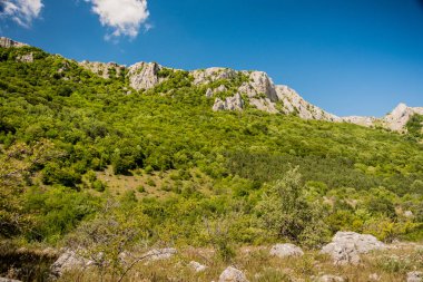 Küçük beyaz bulutlar üzerinde harika dağ sırtı eğimi ile parlak mavi gökyüzü güneşli günde yeşil çalılar ile kaplı
