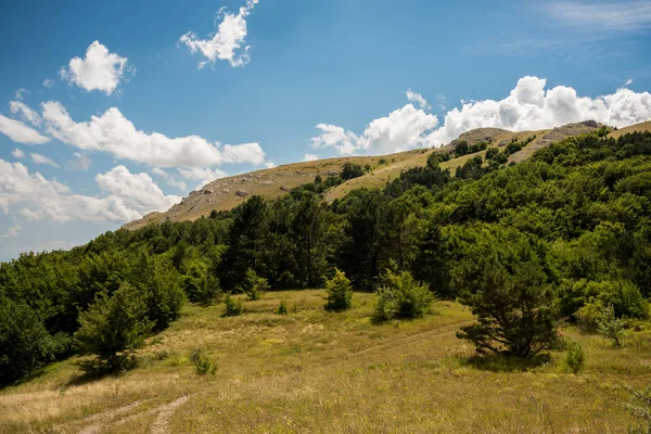 Green Shrubs Trees Growing Slope Grassy Hill Blue Cloudy Sky — Stock Photo, Image