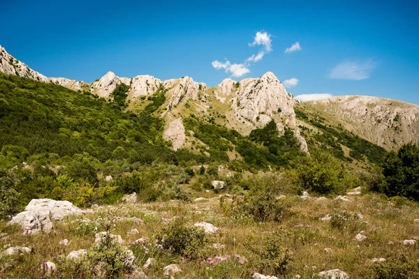 Καταπληκτική Θέα Της Οροσειράς Τραχύ Καλύπτονται Πράσινα Φυτά Εναντίον Φωτεινό — Φωτογραφία Αρχείου