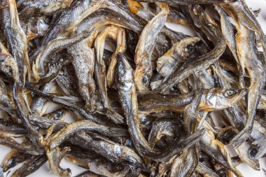 Kurutulmuş anchus gri bir arka plan üzerinde balık