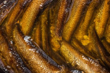 Makro bankada Sprots