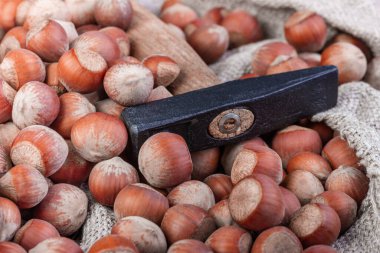 Çuval bezinde fındık ve çekiç