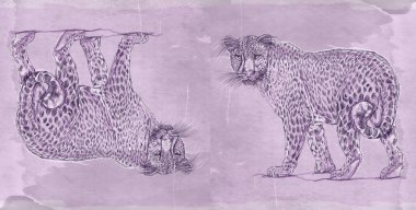 bir kar leopar vahşi bir antika arka plan, gerçekçi hayvanlarla banner