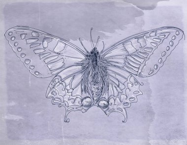 Kelebekler ve vintage antik temel çiçeklerle topluluğu