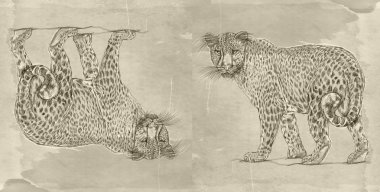  antika arka plan, leopar gerçekçi hayvanlarla banner