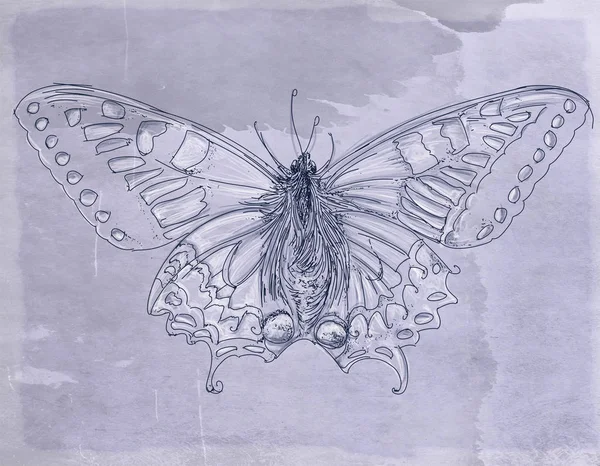 Kelebekler ve vintage antik temel çiçeklerle topluluğu