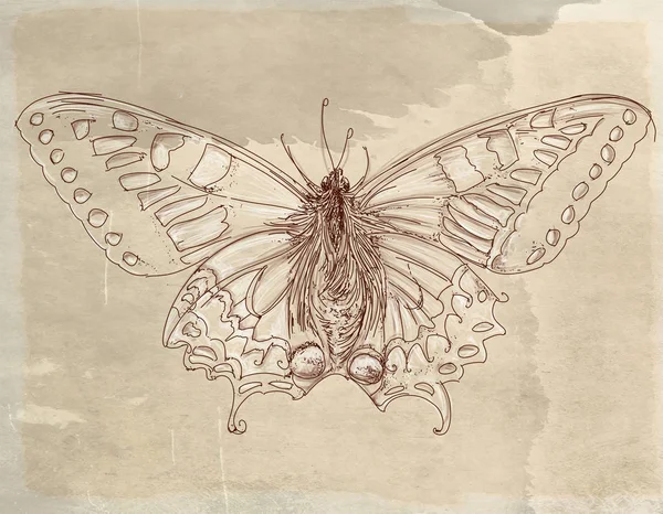 Kelebekler ve vintage antik temel çiçeklerle topluluğu