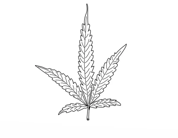 Ročník List Marihuany — Stock fotografie
