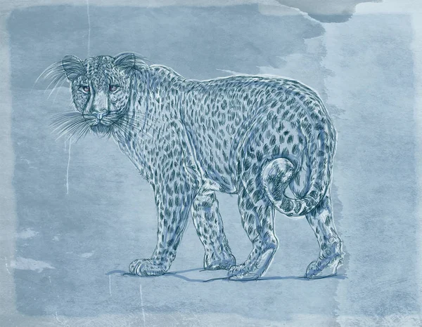 Снігохід Леопард Пантера Реалістичні Тварини Вінтажним Фоном Банер — стокове фото