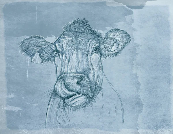 Корова Яка Облизує Вуса Реалістичними Тваринами Вінтажним Фоном — стокове фото