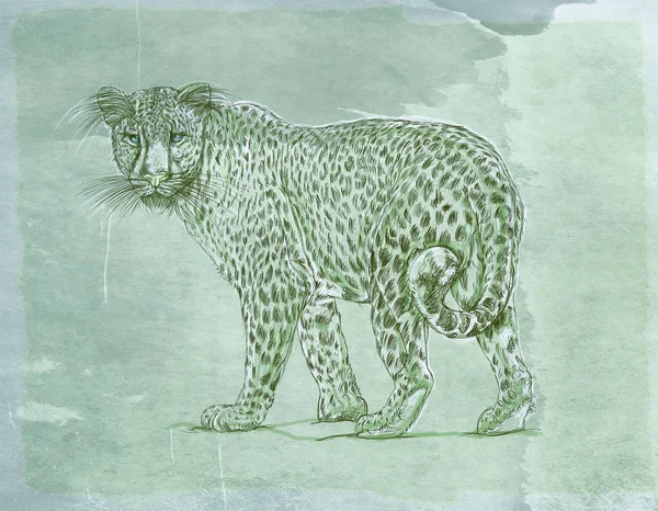 bir kar leopar vahşi bir antika arka plan, gerçekçi hayvanlarla banner