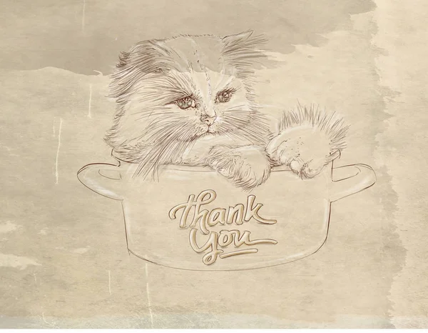 a small cat in a cup  realistic animals with written thank you, with vintage background