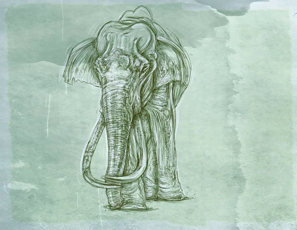 Elefante Camminare Animali Realistici Con Sfondo Vintage Banner — Foto Stock