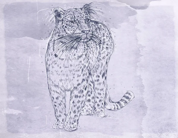 bir kar arabası, Çita, antika arka plan, Panter gerçekçi hayvanlarla afiş