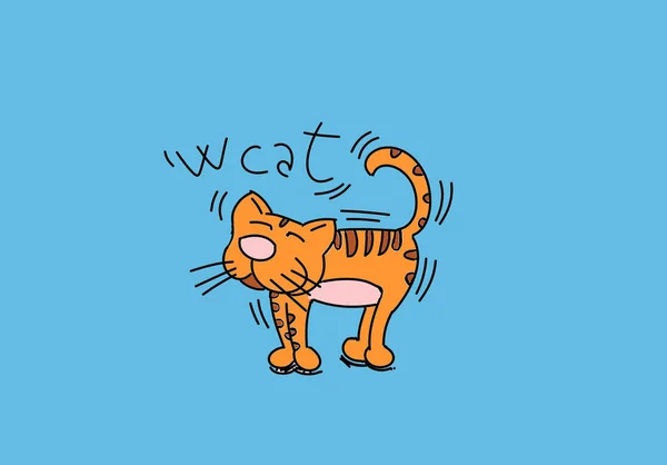 Katze Bunte Zeichnungen Pop Art Stil — Stockfoto