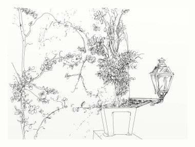 perspektifler ve manzaralar ile bir ev kroki tasarımları duvarında bitki kapları