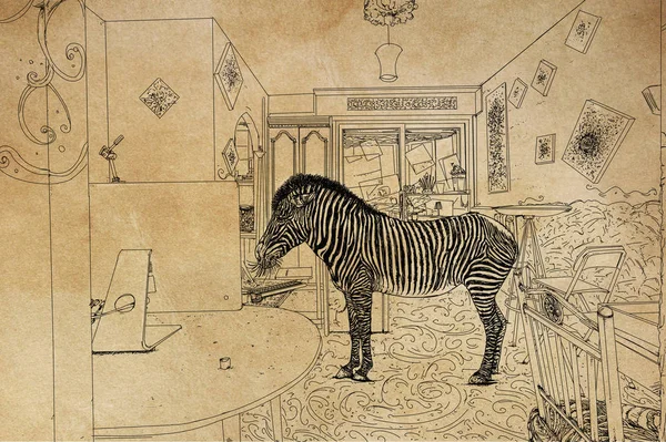 Illustrazione Artistica Matita Una Zebra Salotto Camera Letto Una Casa — Foto Stock