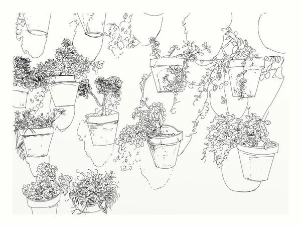 Pots Plantes Sur Mur Une Maison Croquis Dessins Avec Des — Photo