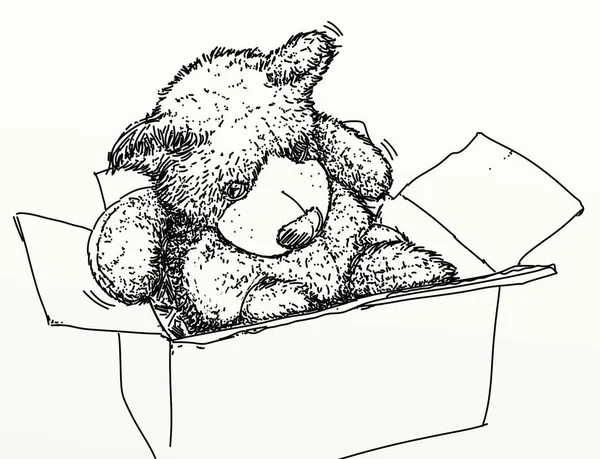 毛茸茸的小熊的吉祥物一只熊出来了 给了它一个盒子 — 图库照片