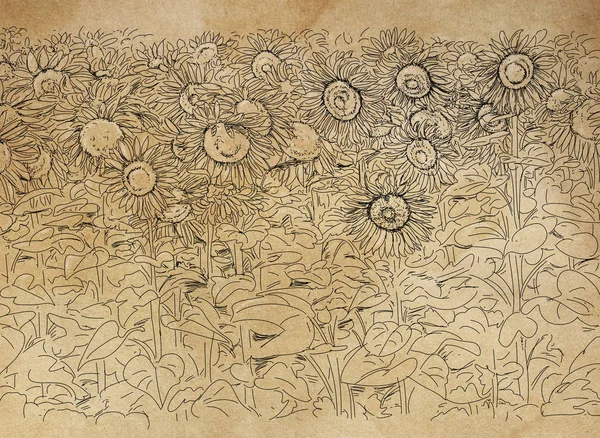 flowery field with sunflowers sketch designs with perspectives and landscapes