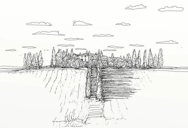 Landscape Hills Cypresses Sketch Designs Perspectives Landscapes — Stock Photo, Image