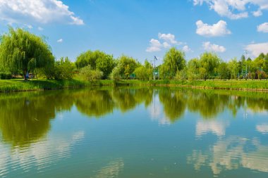 Su Gölü yansıma yeşil söğüt ağacının
