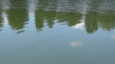 ağaçlar ve bulutlar dalgalanmalar ile su Gölü yansımasıdır 