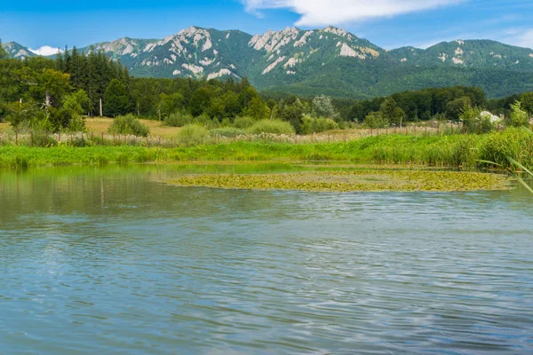 Göl, yeşil bitki örtüsü orman ve dağlar manzara mavi gökyüzü - copysapc ile ön plan