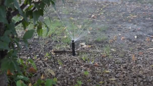 Enda Roterande Vatten Sprinkler — Stockvideo