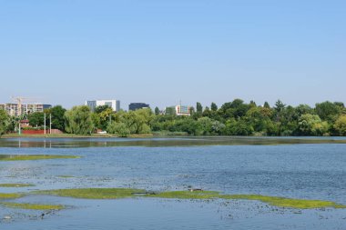 Plumbuita Gölü Colentina bölge Bükreş'te. Bitki örtüsü, ofis binaları, daire ve içinde belgili tanımlık geçmiş vinçler ile sakin göl
