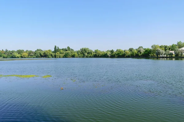 布加勒斯特 Colentina Plumbuita 平静的湖与植被在背景 — 图库照片