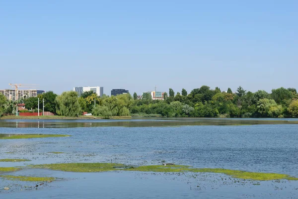 Plumbuita Gölü Colentina bölge Bükreş'te. Bitki örtüsü, ofis binaları, daire ve içinde belgili tanımlık geçmiş vinçler ile sakin göl