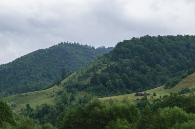 yeşil tepeler yeşil orman ve fırtınalı bulut gökyüzü ile kaplı