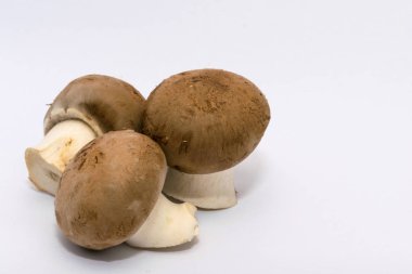 taze mantar yıkanır ve pişmiş hazır aldı