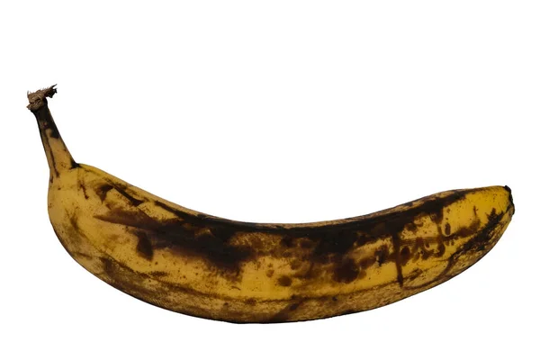 Üzerinde siyahımsı tek muz üzerinde beyaz izole olgunlaşmak