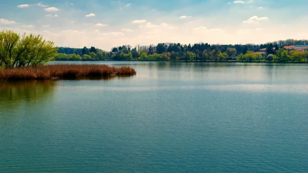 Großer See und Waldbaum am Ufer — Stockfoto