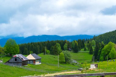 yaz aylarında yeşil dağ manzara ve eski ev ve ahır mimarisi
