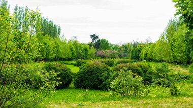bulutlu bir günde ilkbaharda boş yeşil park