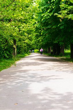 Bükreş, Romanya - 04 Mayıs 2019: Bükreş'teki Botanik Bahçesi'nde ilkbaharda parkta bir ara sokakta yürüyen insanlar.