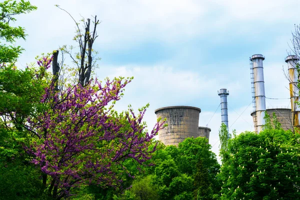 power plant hidden among lush vivid colored vegetation